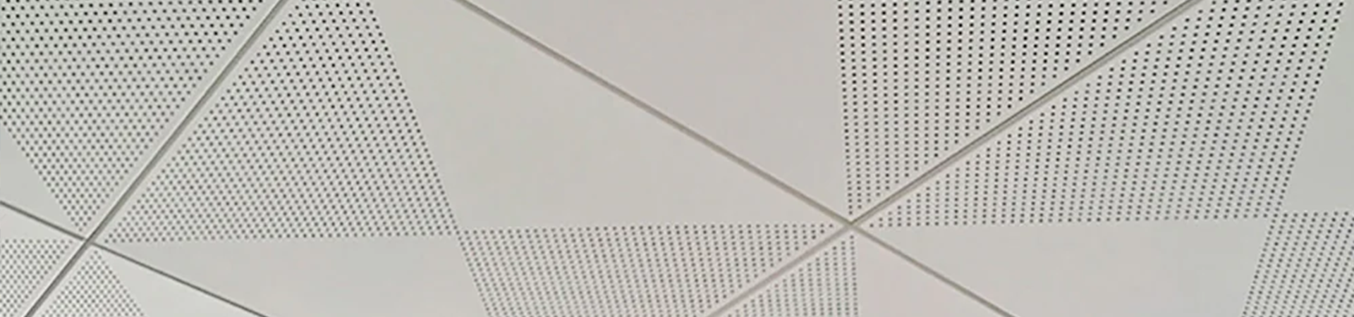 Clip In Ceiling