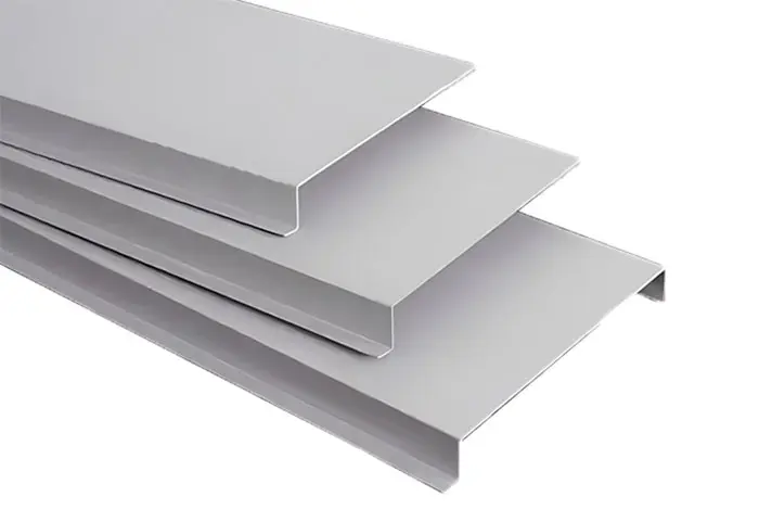 metal ceiling.jpg