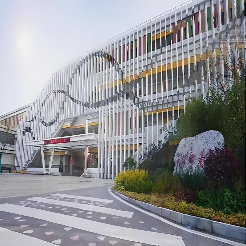 Shool Aluminum Facade