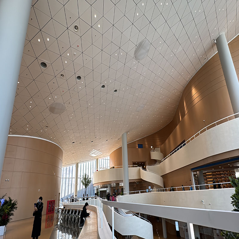 library Baffle ceiling Project