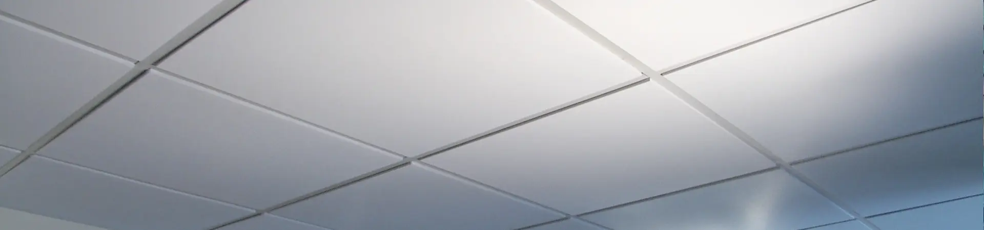 Tegular Ceiling System